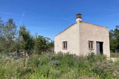 Landejendom i Camarles, Tarragona, Camarles - € 35.000 | Ref: Finca rio - foto 8